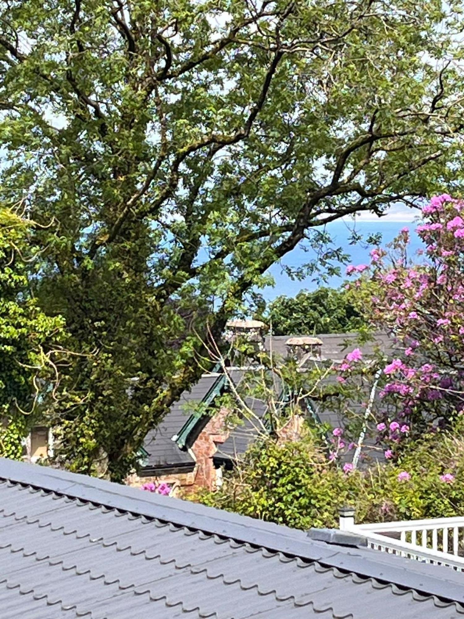 Apartament Ocean View At Glade Bucks Mills Zewnętrze zdjęcie