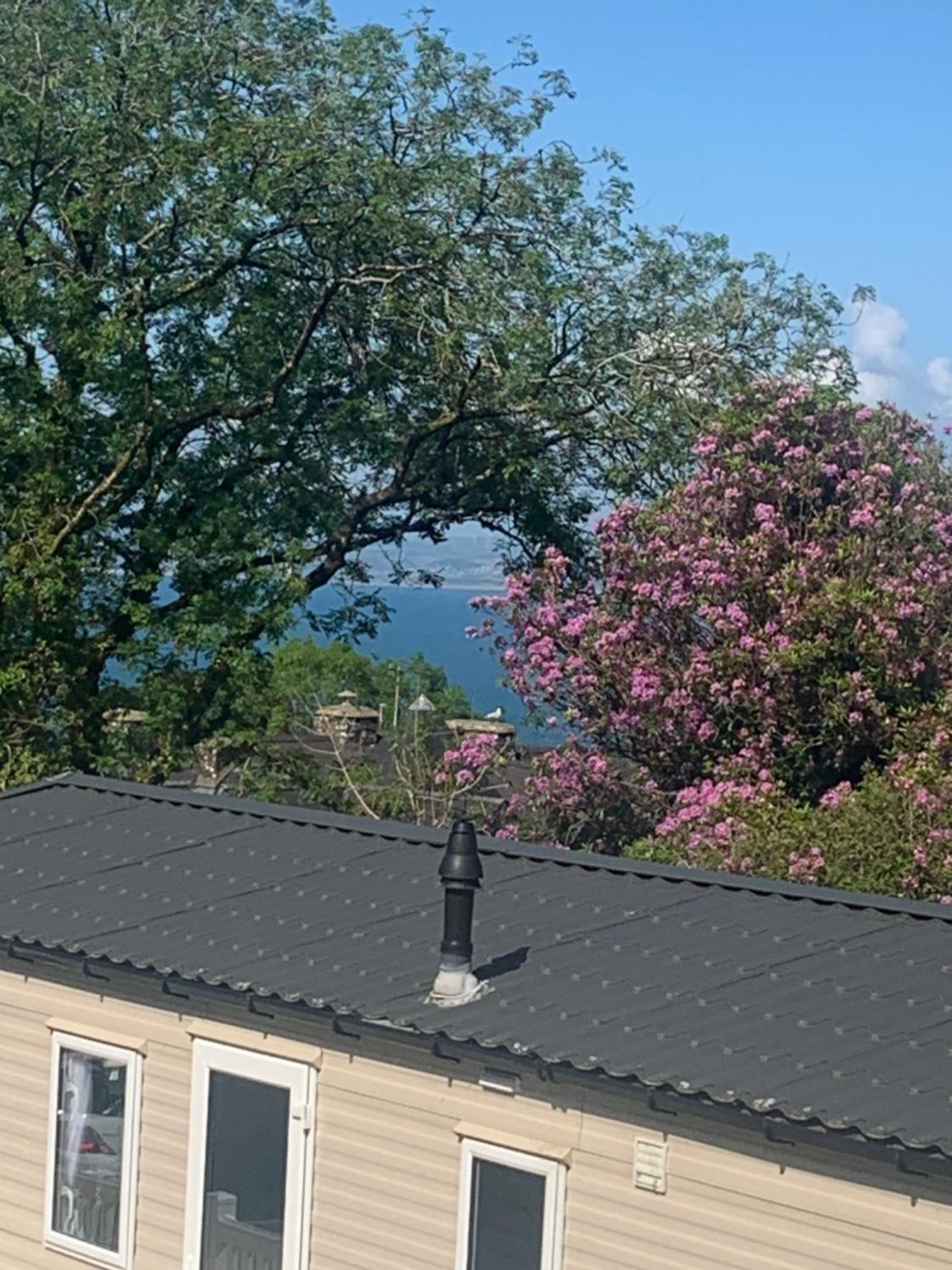 Apartament Ocean View At Glade Bucks Mills Zewnętrze zdjęcie
